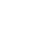 Icône Instagram